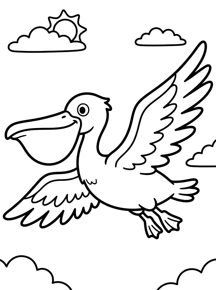 Drawing Pelican Printable