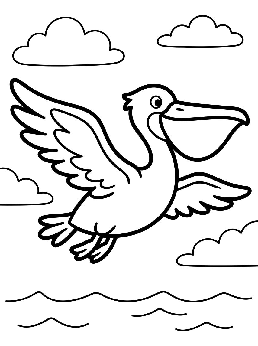 Drawing Pelican