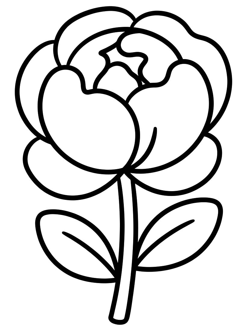 Drawing Peony Easy
