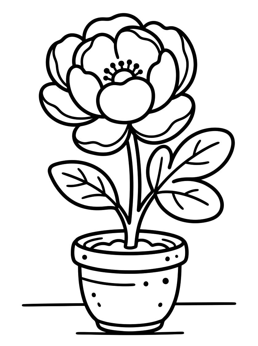 Drawing Peony Free Printable