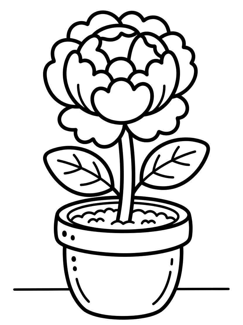 Drawing Peony Printable
