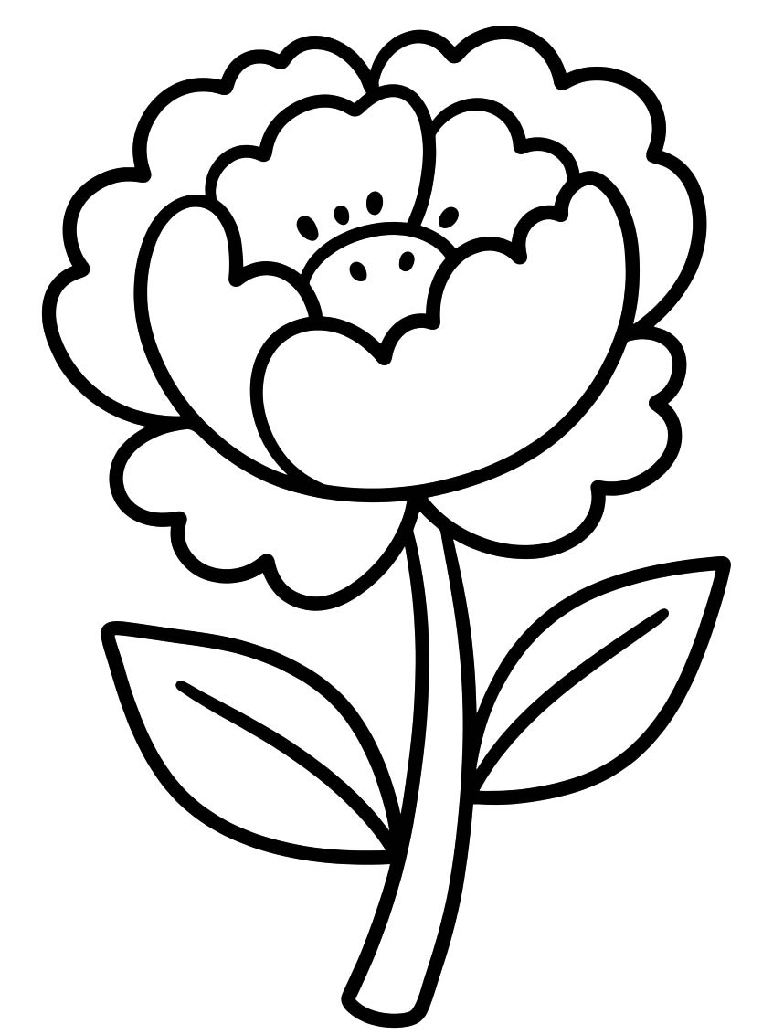 Drawing Peony Simple