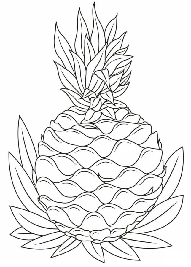 Drawing Pineapple Easy
