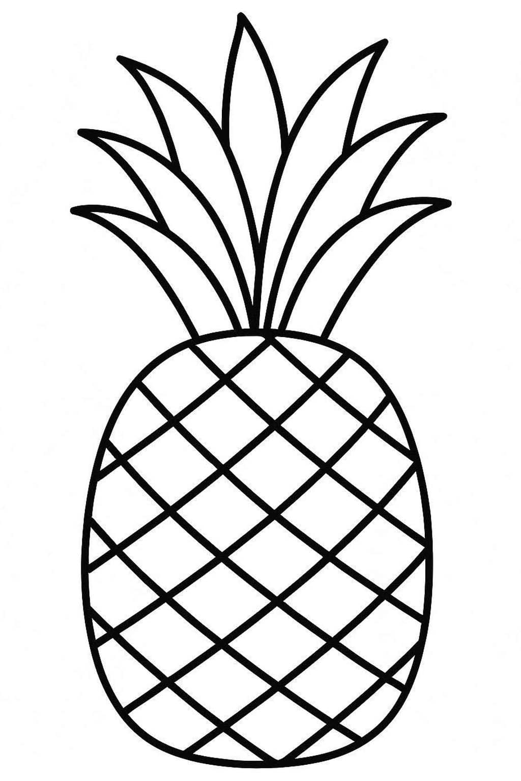 Drawing Pineapple