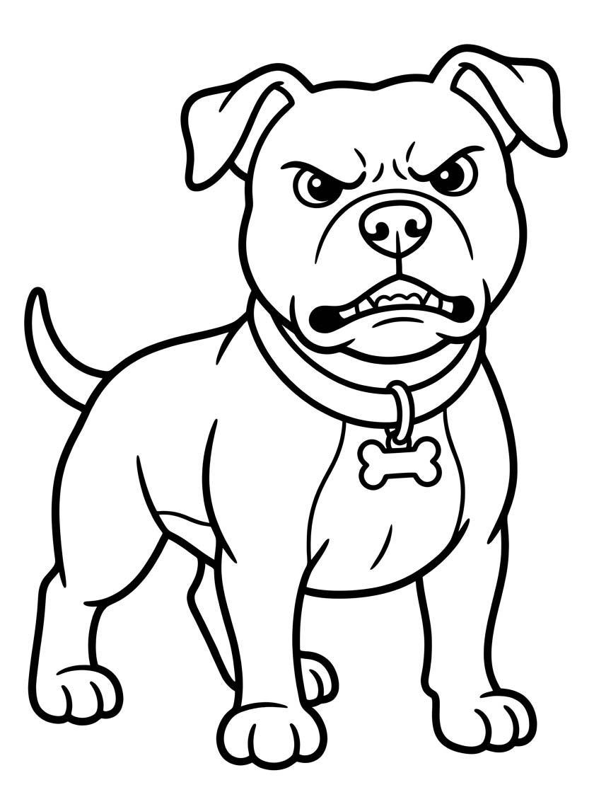 Drawing Pitbull Simple