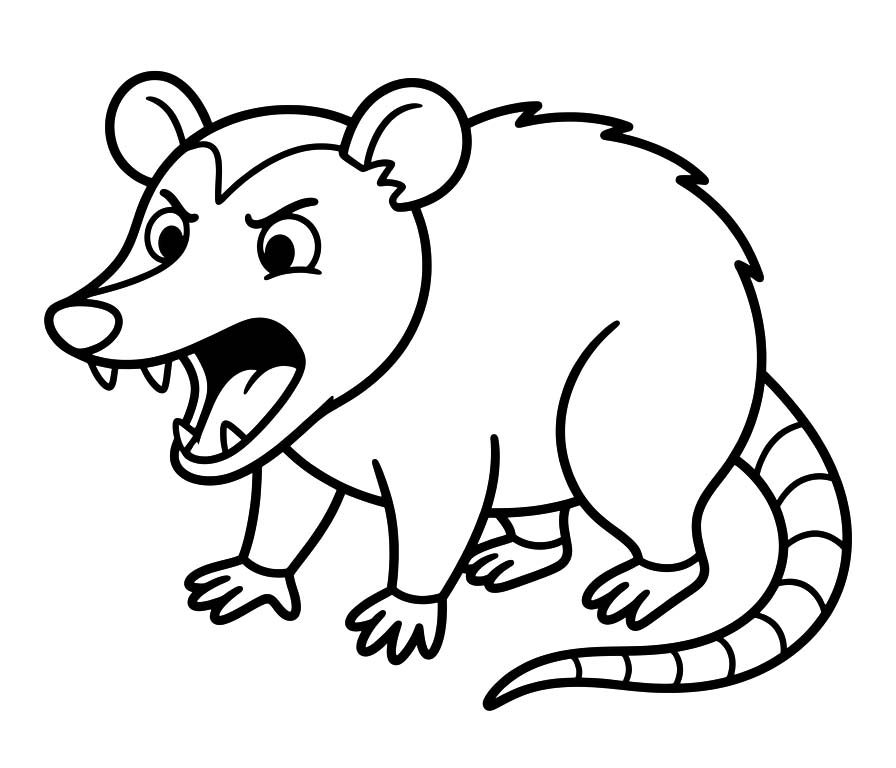 Drawing Possum Free Printable