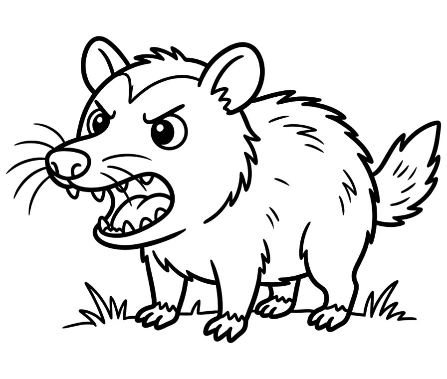 Drawing Possum Printable
