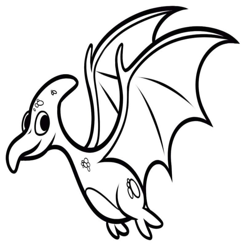 Drawing Pterodactyl Printable