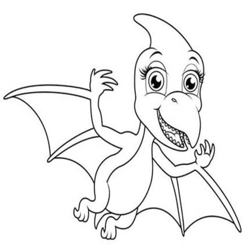 Drawing Pterodactyl