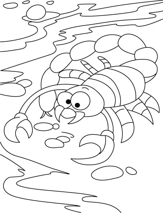Drawing Scorpion Basic