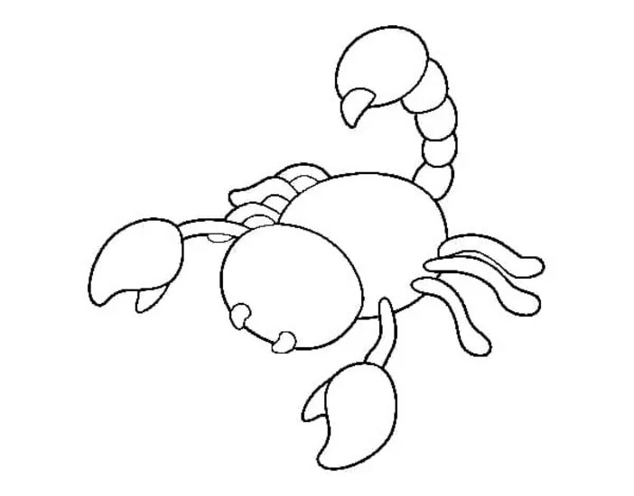 Drawing Scorpion Easy