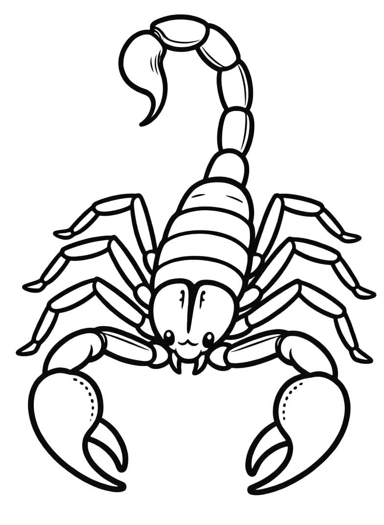 Drawing Scorpion Printable