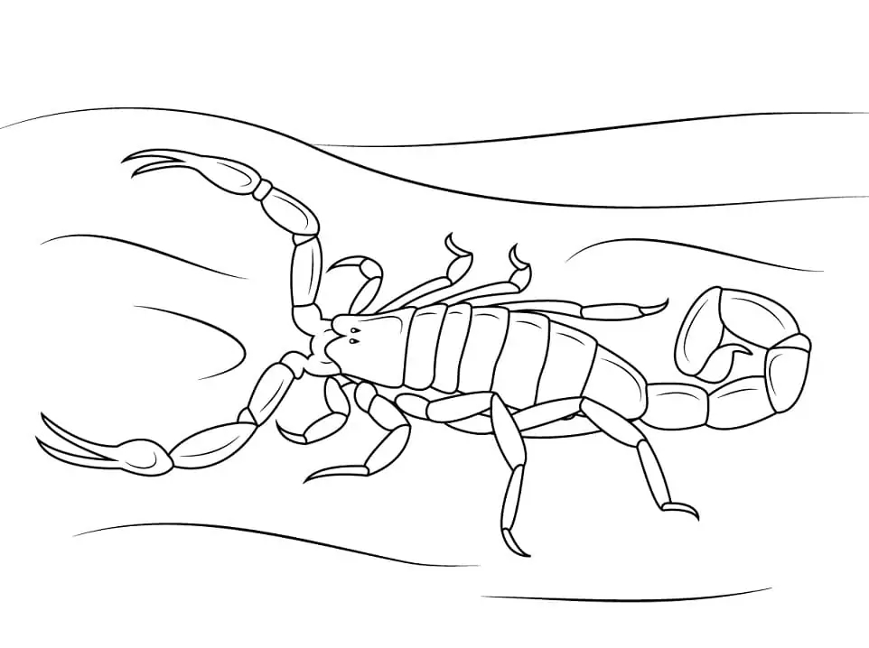 Drawing Scorpion Simple