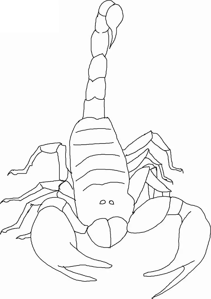 Drawing Scorpion