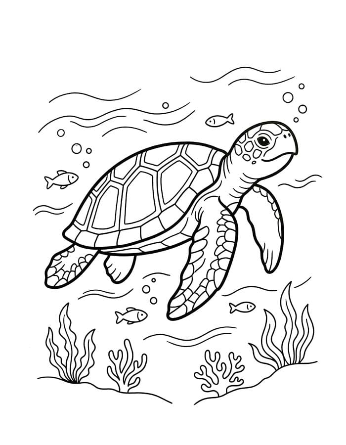 Drawing Sea Turtle