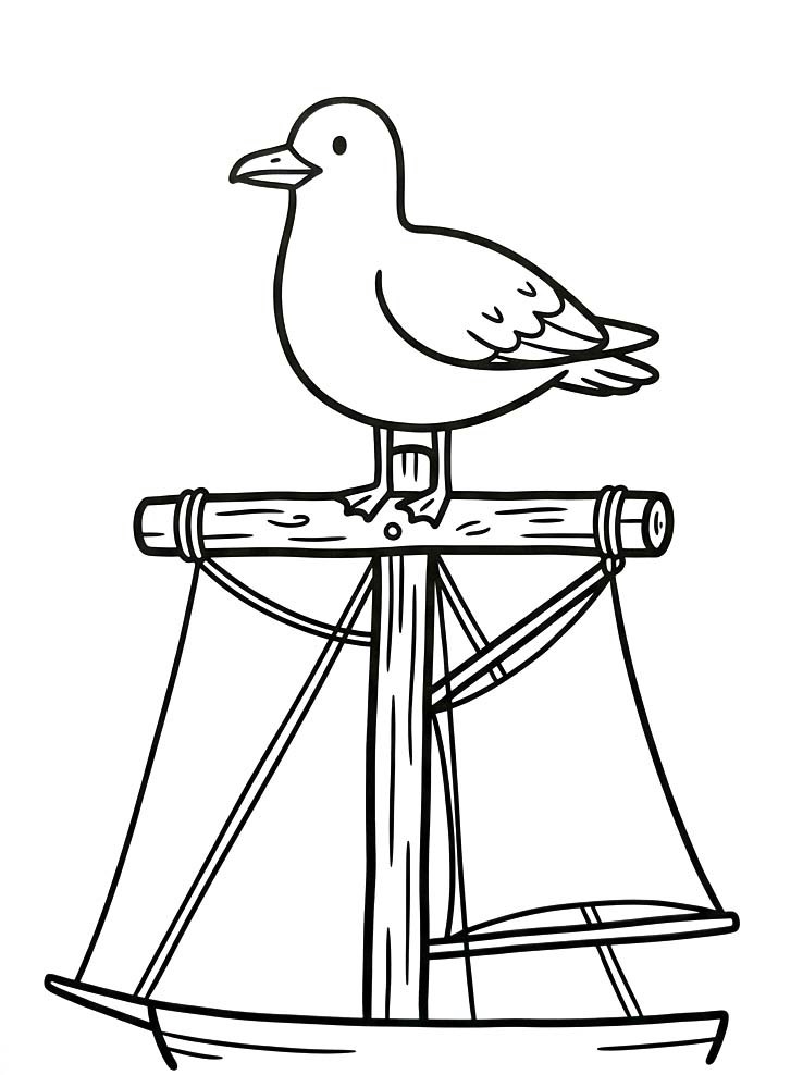 Drawing Seagull Basic