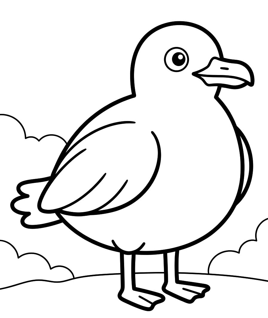 Drawing Seagull Easy