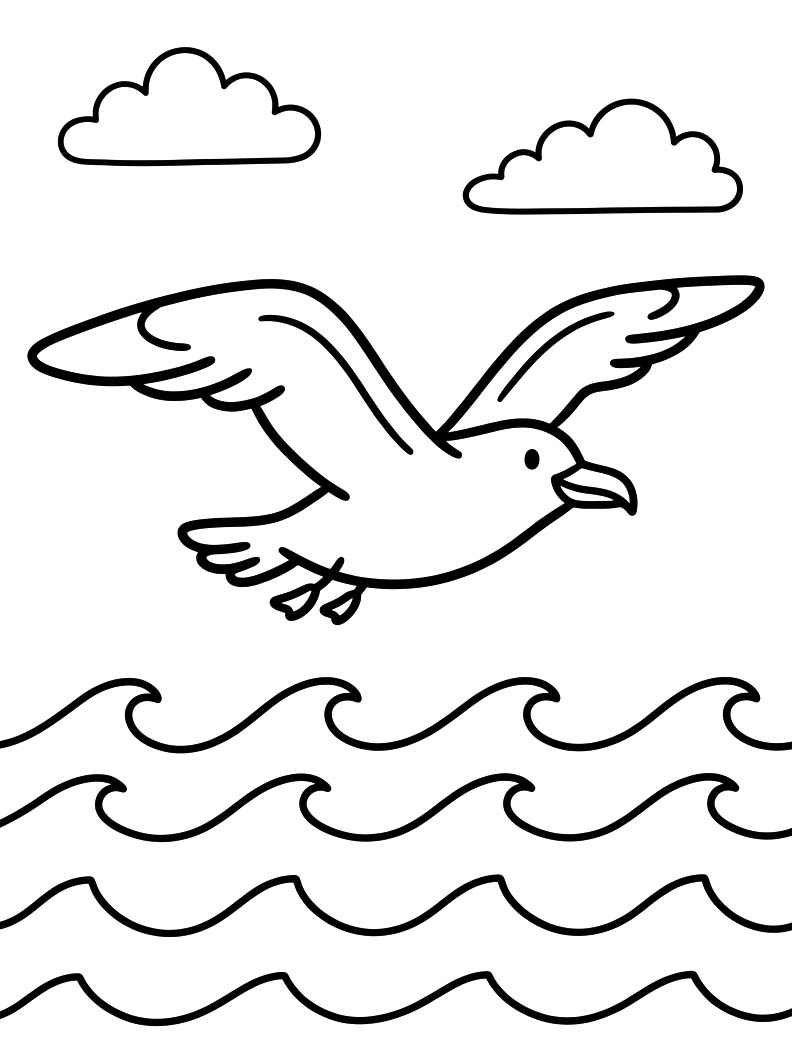 Drawing Seagull Free