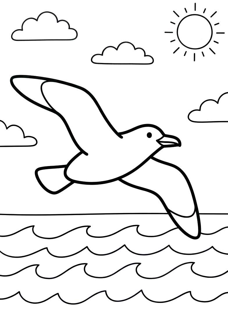 Drawing Seagull Printable