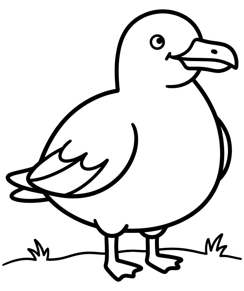 Drawing Seagull Simple