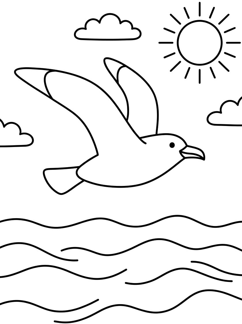 Drawing Seagull