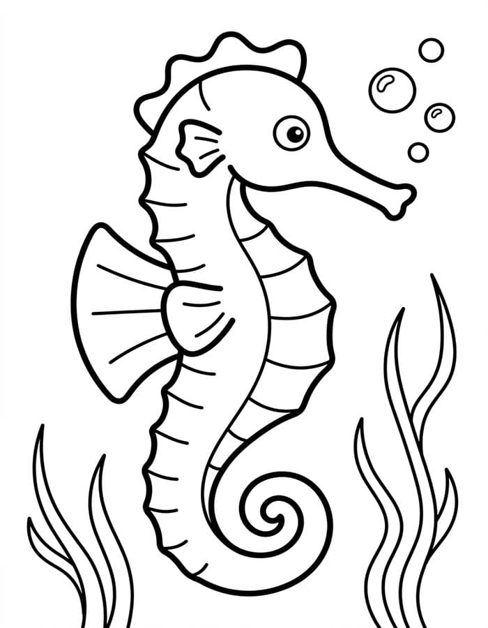 Drawing Seahorse Printable