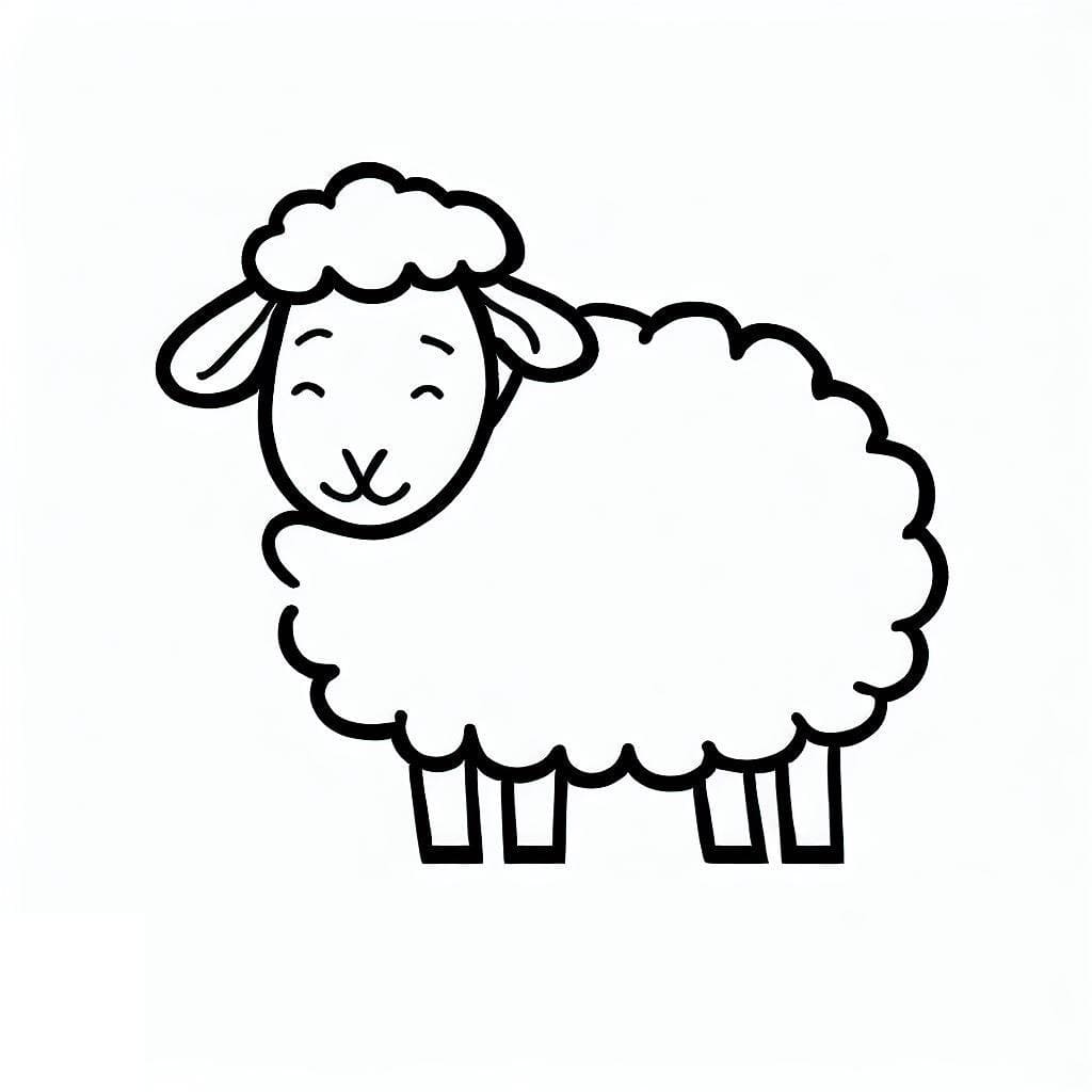 Drawing Sheep easy