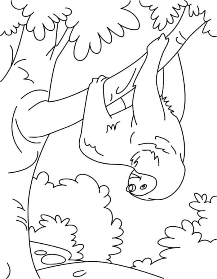 Drawing Sloth Free