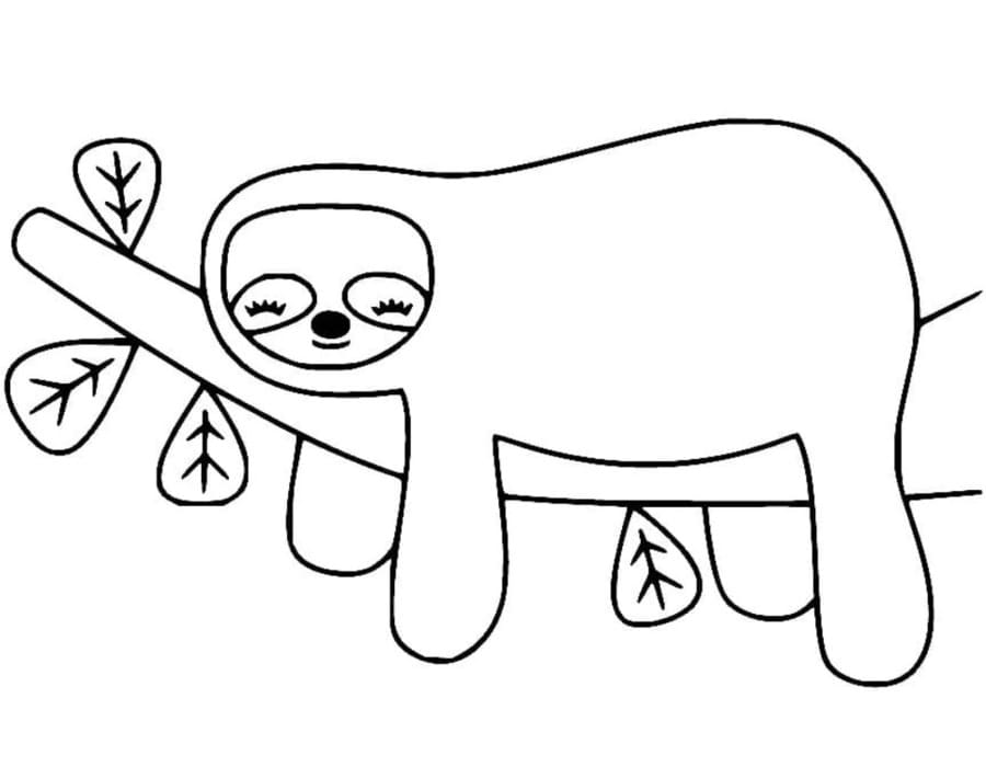 Drawing Sloth Simple