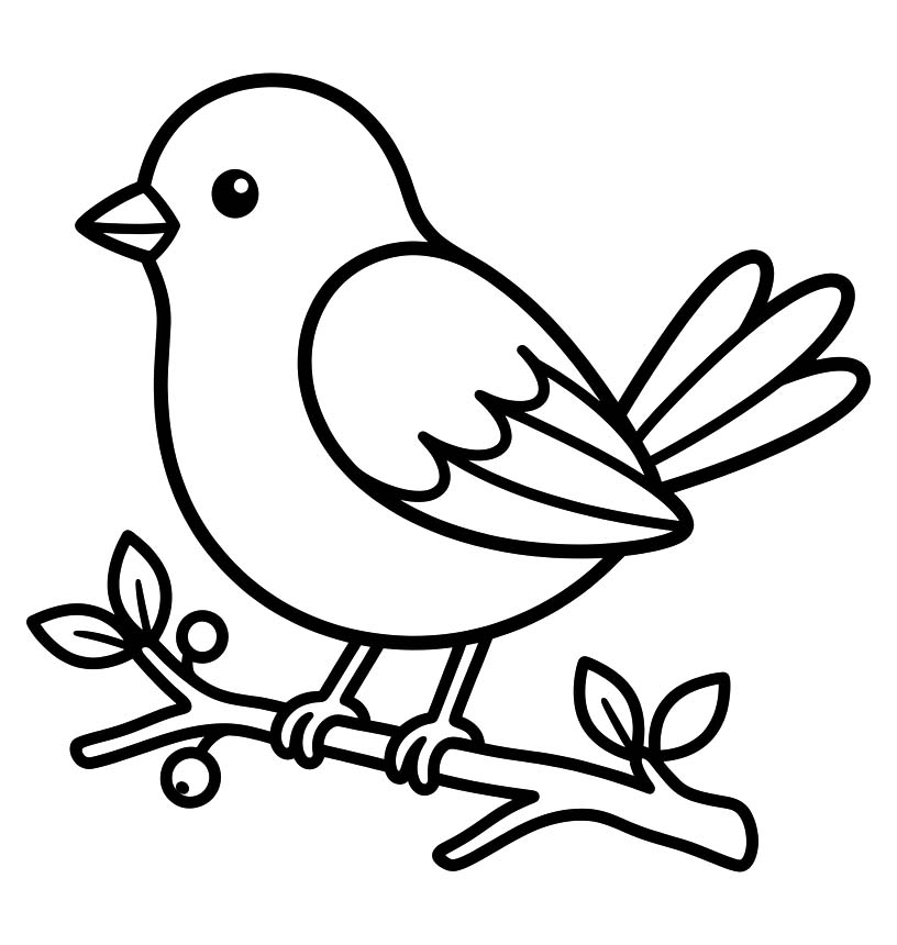 Drawing Sparrow Basic