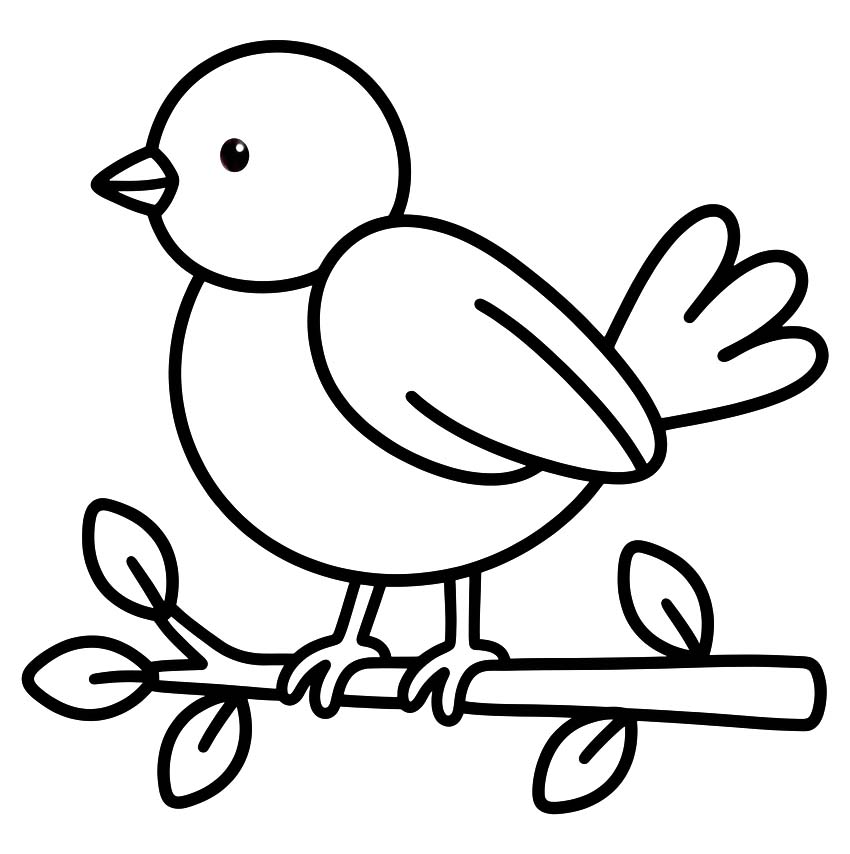 Drawing Sparrow Easy