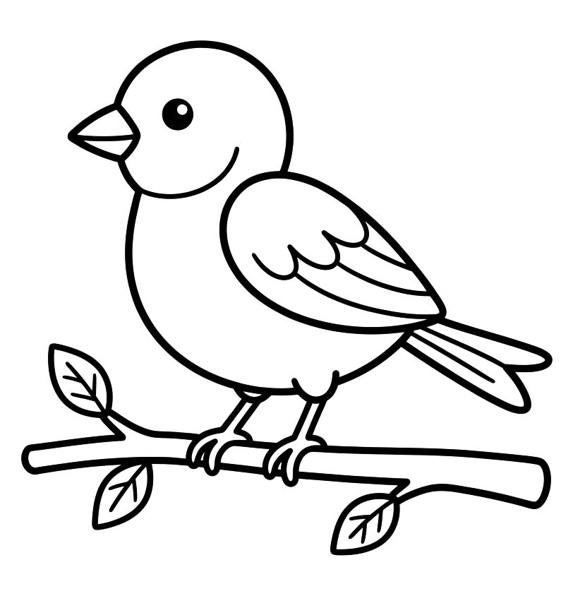 Drawing Sparrow Free