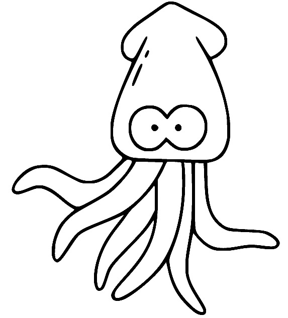 Drawing Squid Simple