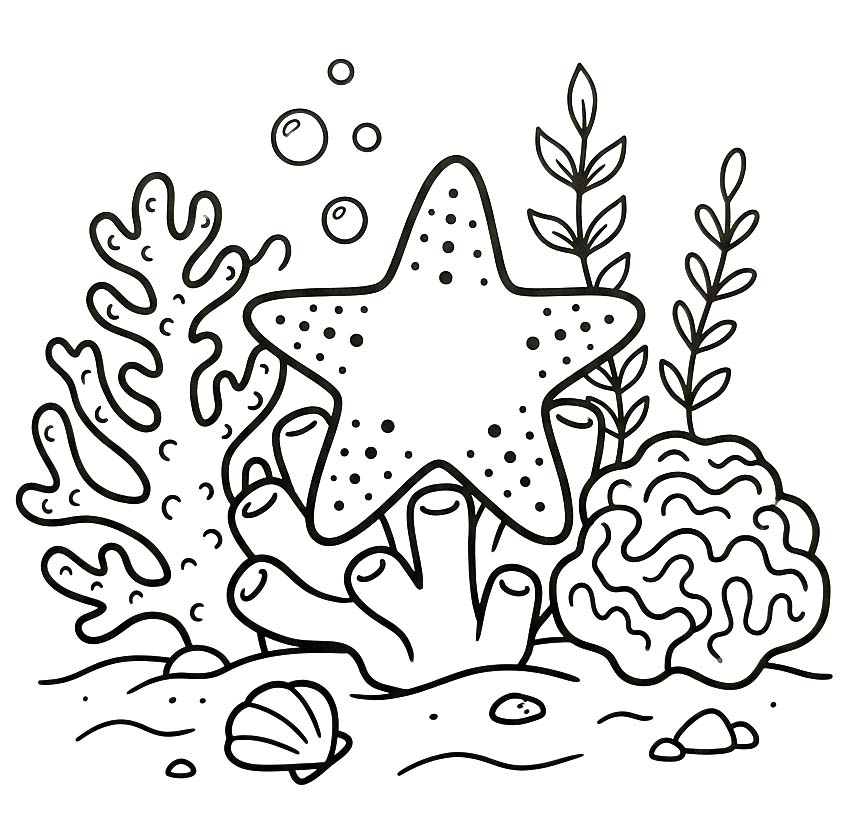 Drawing Starfish Basic