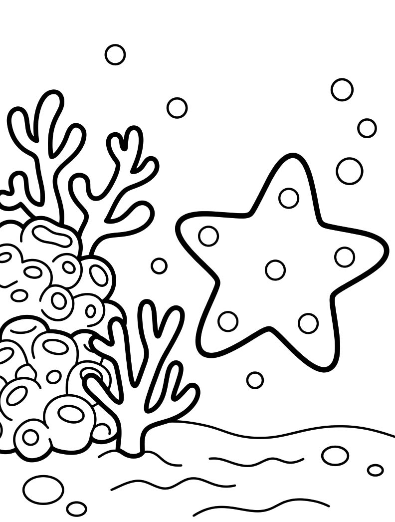 Drawing Starfish Easy