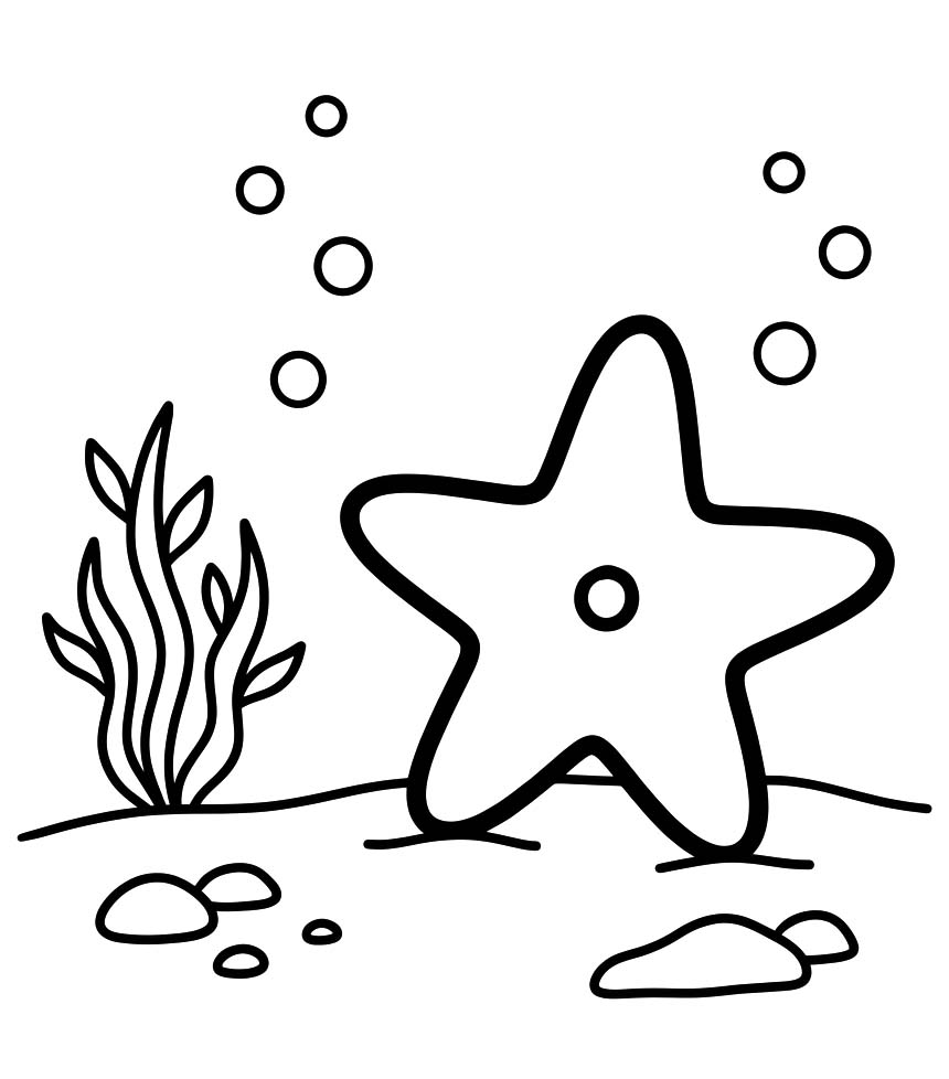 Drawing Starfish Free