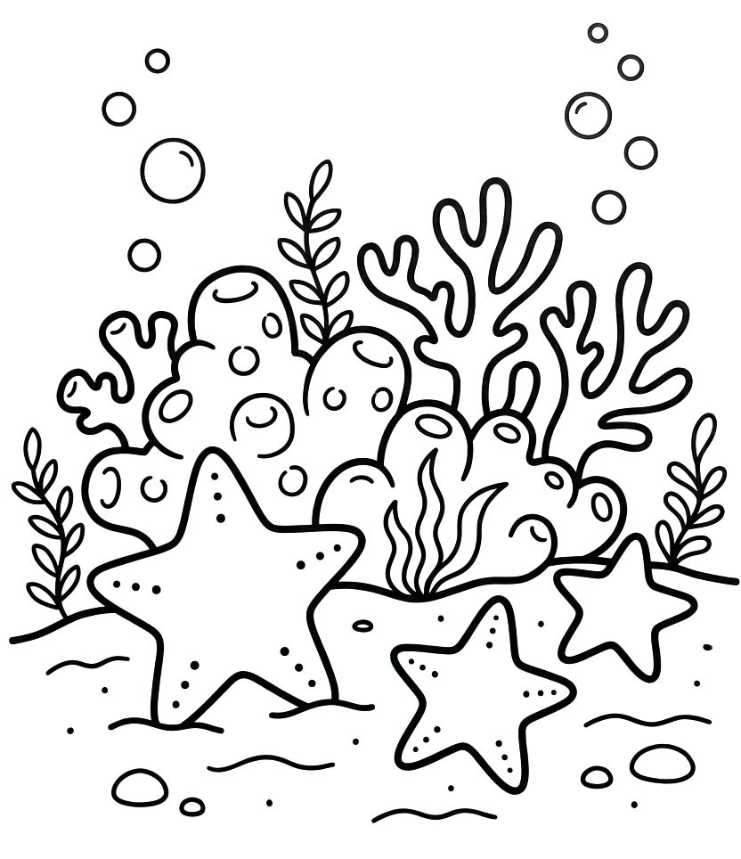 Drawing Starfish Simple