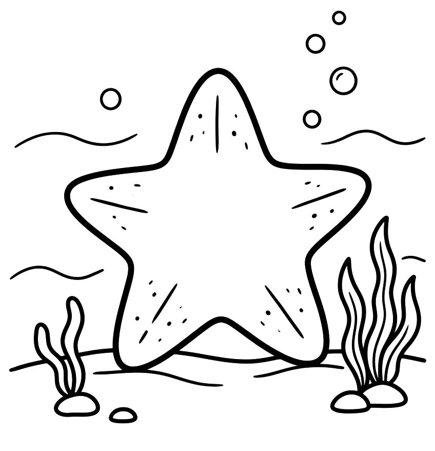 Drawing Starfish