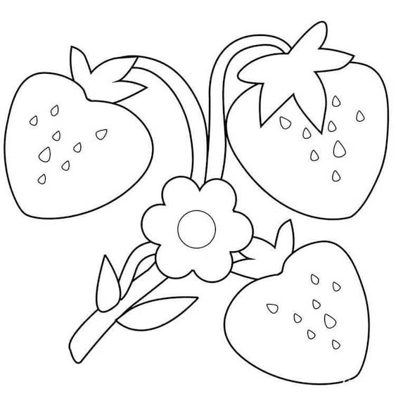 Drawing Strawberry Easy
