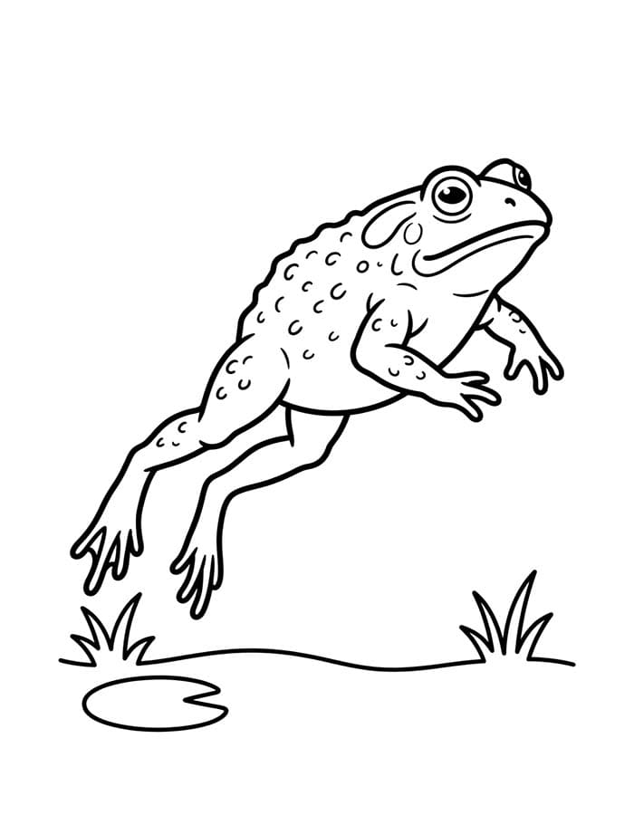 Drawing Toad Simple