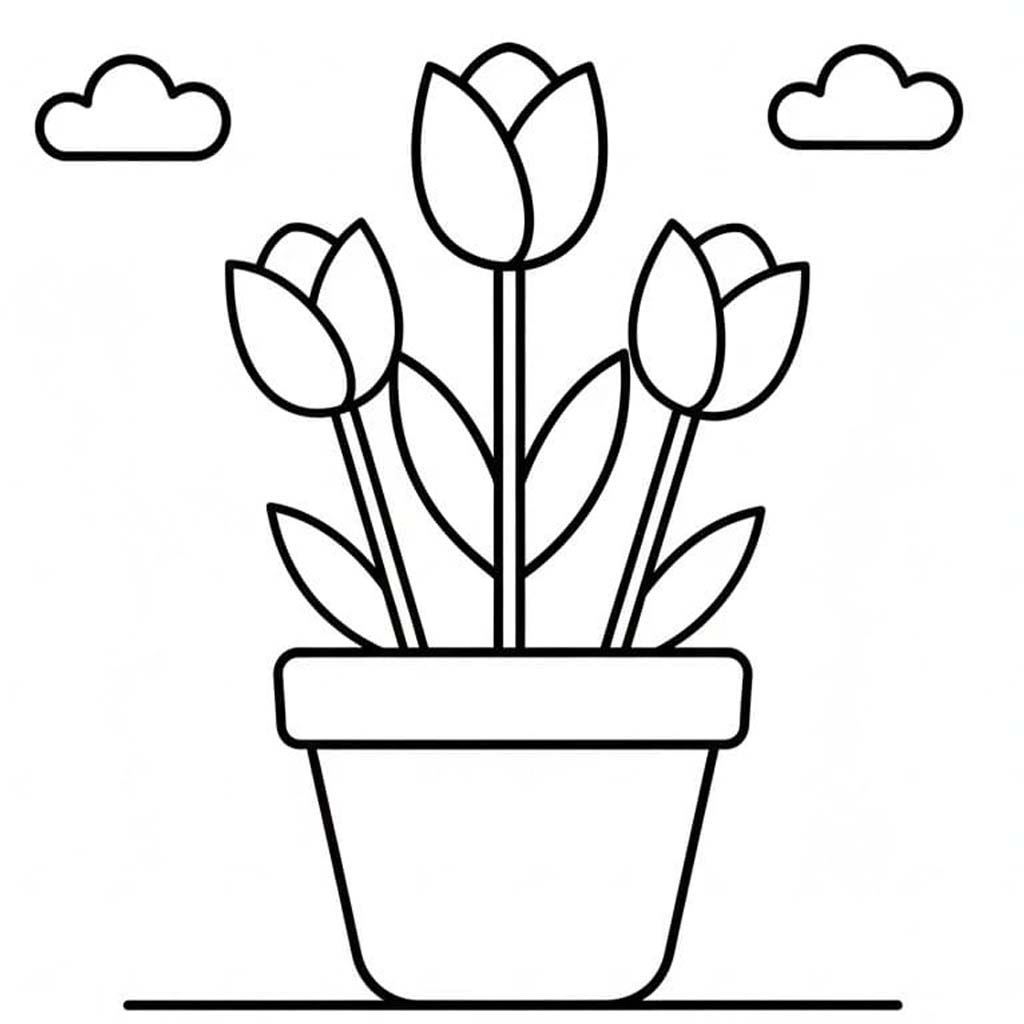 Drawing Tulip Basic