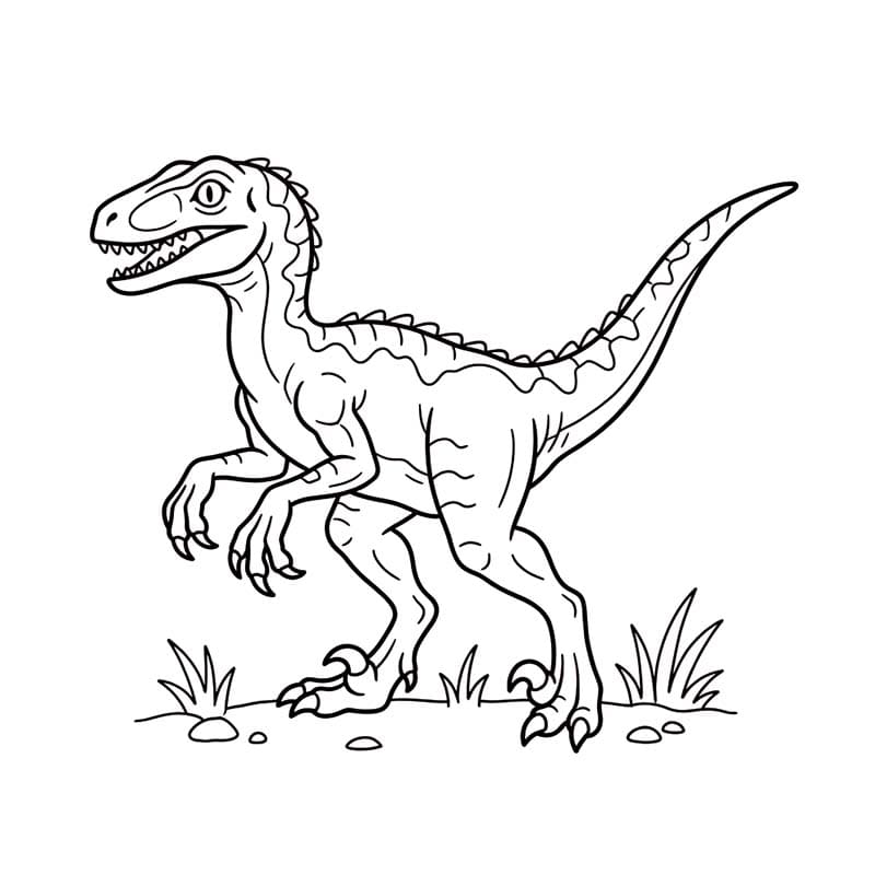 Drawing Velociraptor