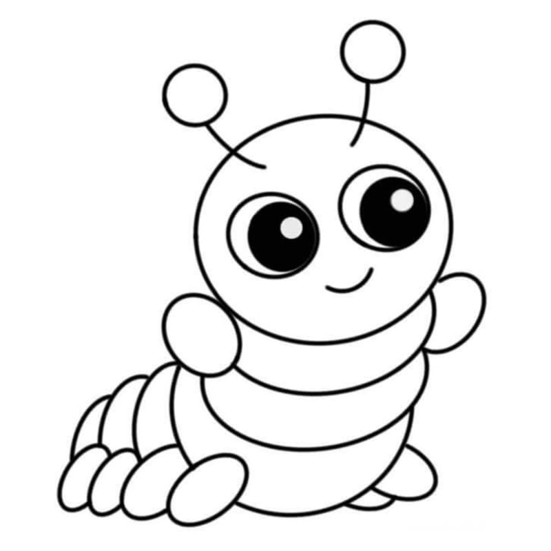 Drawing Worm Basic