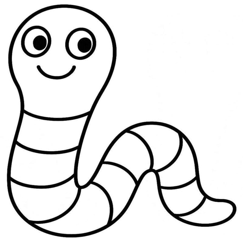 Drawing Worm Free Printable