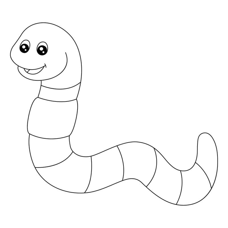 Drawing Worm Free