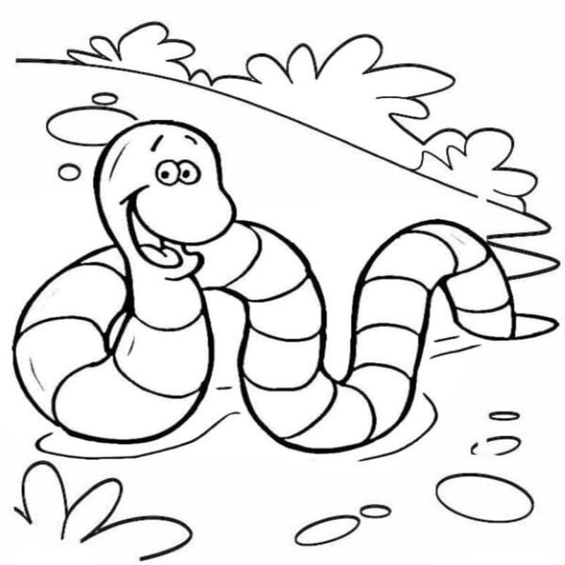 Drawing Worm Printable