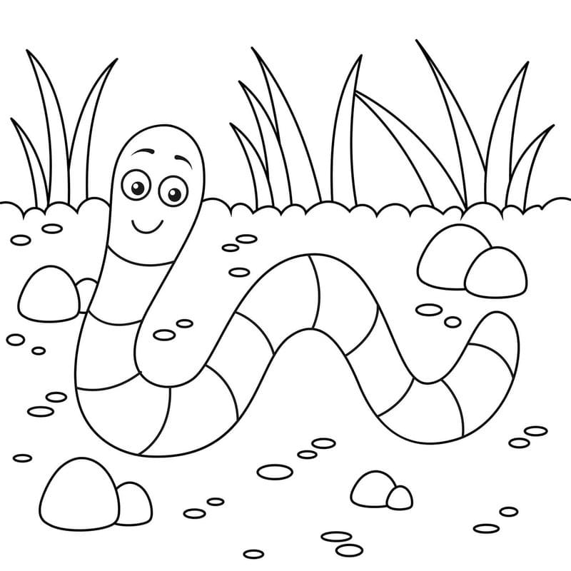 Drawing Worm Simple