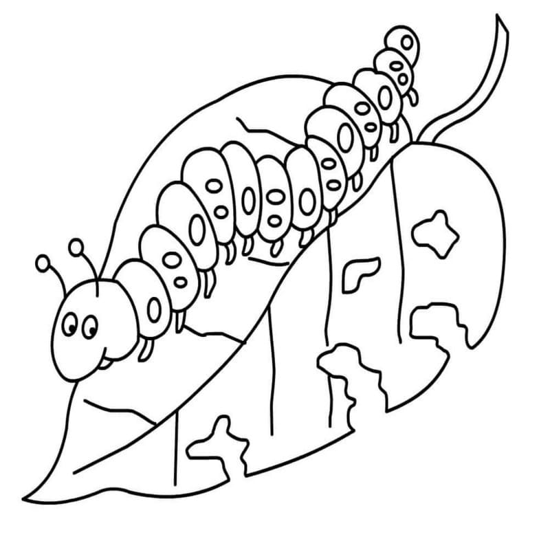 Drawing Worm