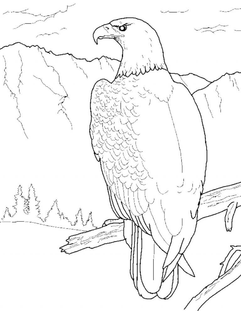 Eagle 5 Coloring Game Eagle 5