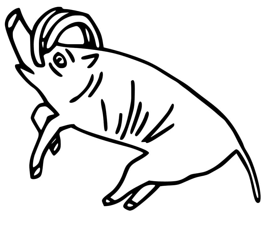 Easy Babirusa
